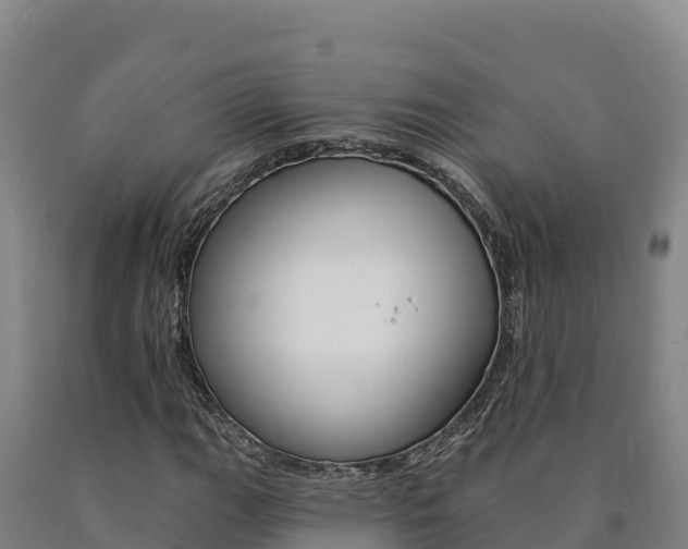 X0000090931111200707301109