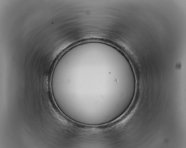 X0000090931113200707301109