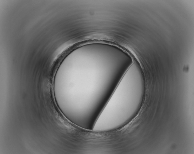 X0000090931115200707301109