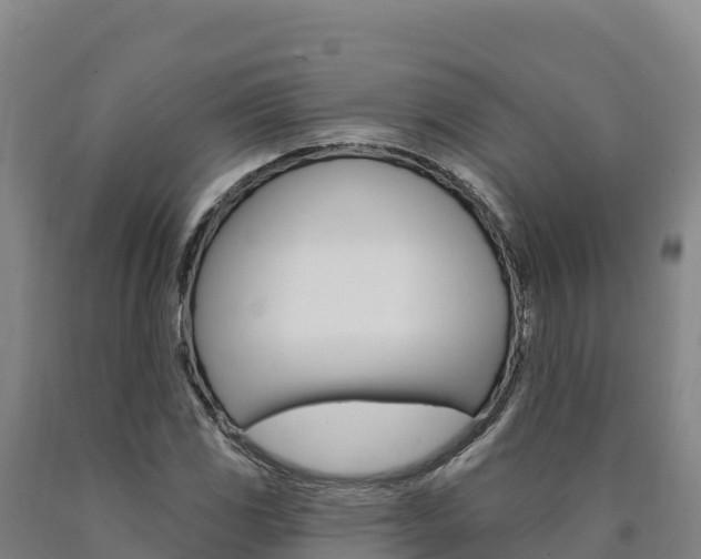 X0000090931117200707301109
