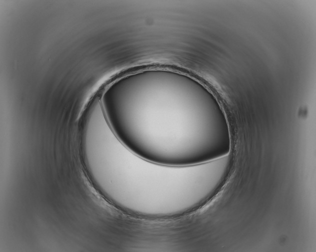 X0000090931118200707301109