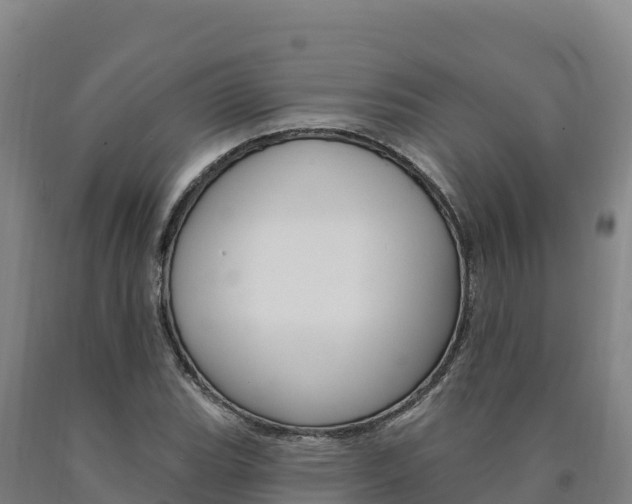 X0000090931119200707301109