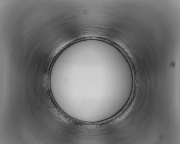 X0000090931121200707301109
