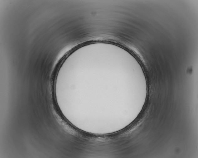 X0000090931122200707301109