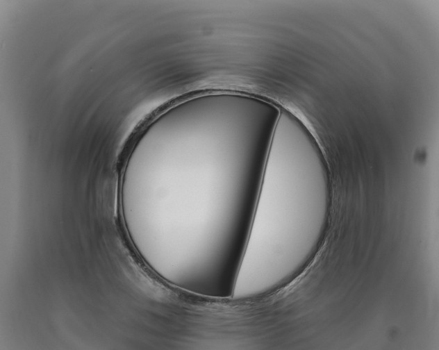 X0000090931123200707301109