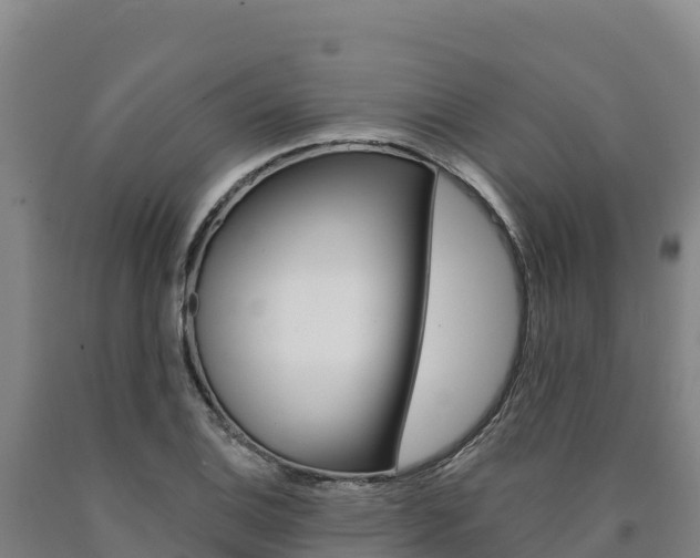 X0000090931124200707301109