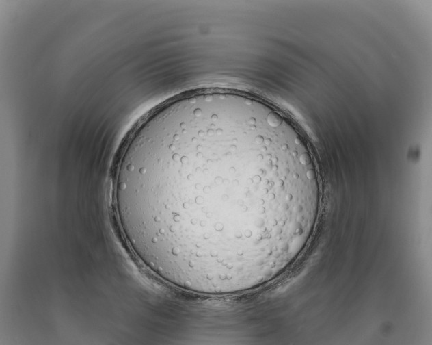 X0000090931125200707301109