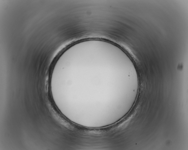 X0000090931126200707301109