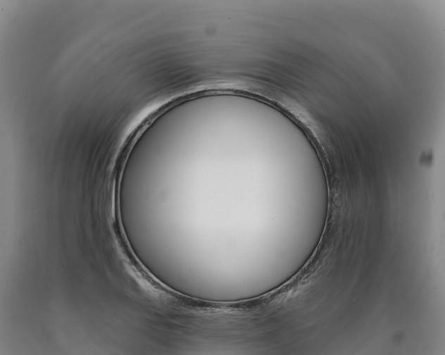 X0000090931127200707301109
