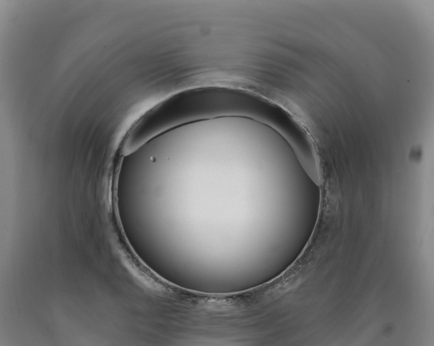 X0000090931128200707301109