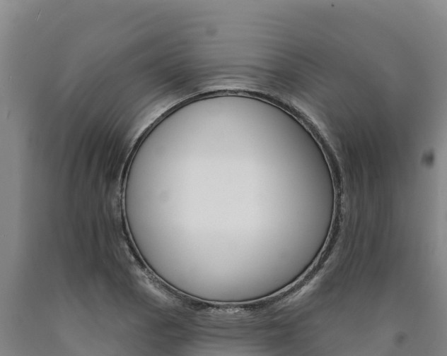 X0000090931129200707301109