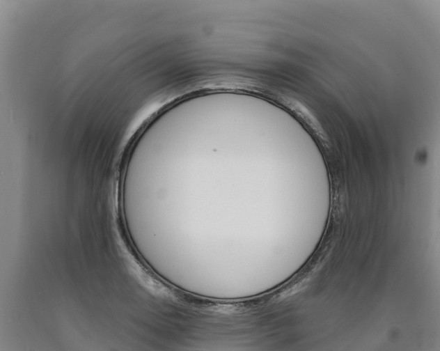 X0000090931130200707301109