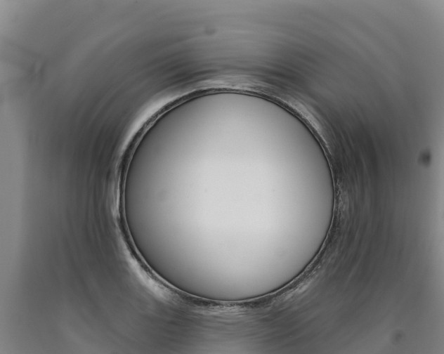 X0000090931131200707301109