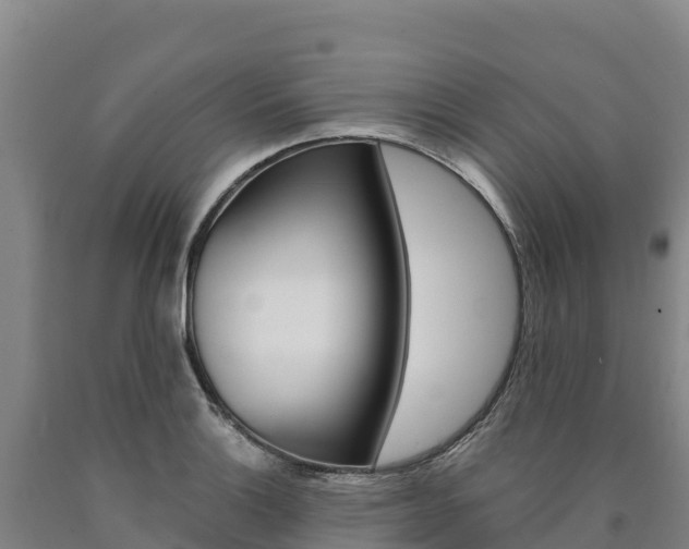 X0000090931132200707301109