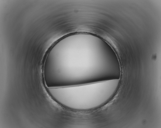 X0000090931133200707301109