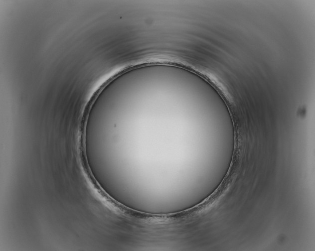 X0000090931134200707301109