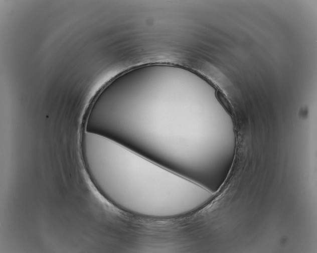 X0000090931135200707301109