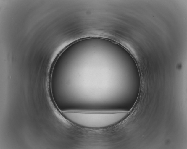 X0000090931136200707301109