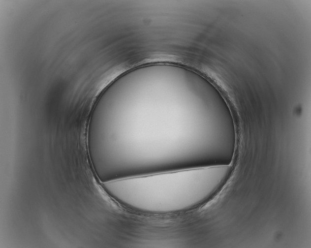 X0000090931137200707301109