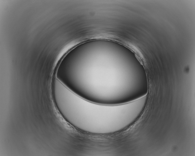 X0000090931138200707301109