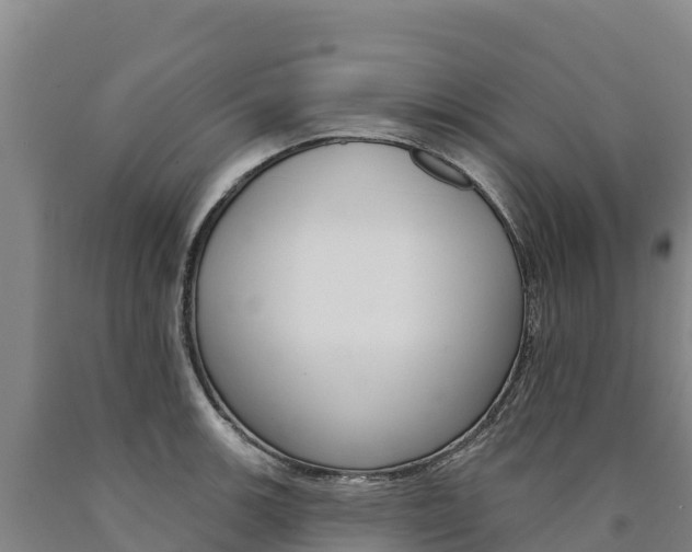 X0000090931139200707301109