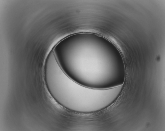 X0000090931140200707301109
