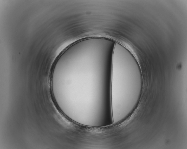 X0000090931141200707301109