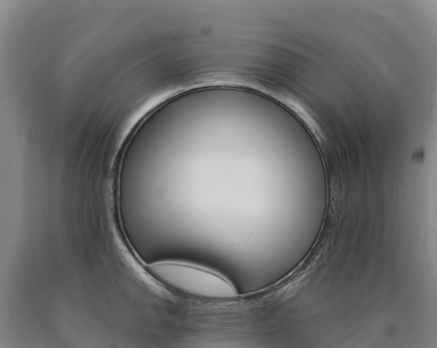 X0000090931142200707301109