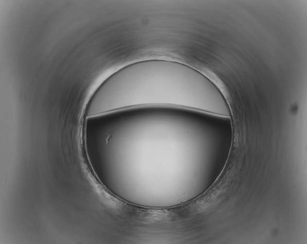X0000090931144200707301109