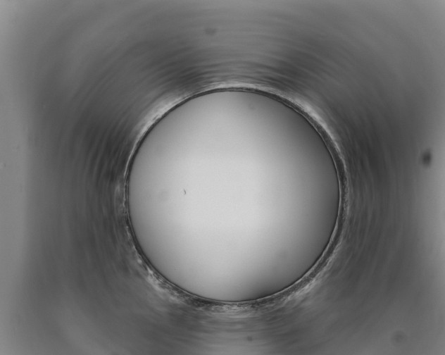 X0000090931145200707301109