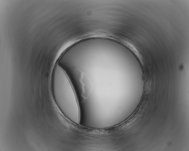 X0000090931146200707301109