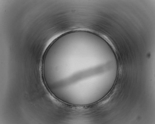 X0000090931149200707301109