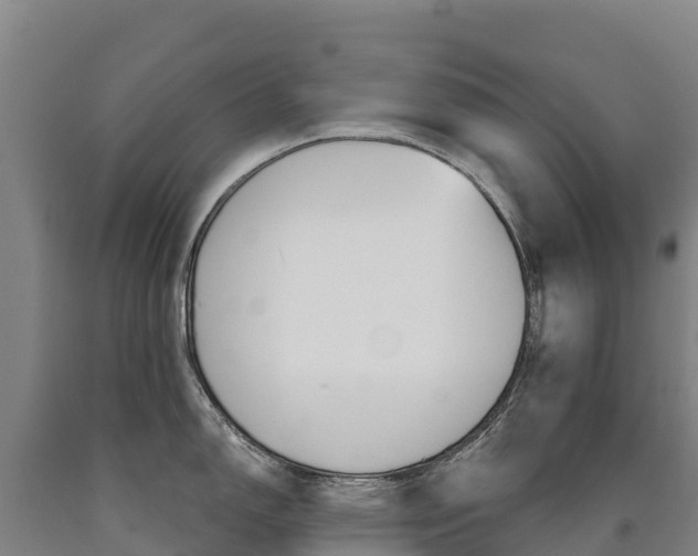 X0000090931150200707301109