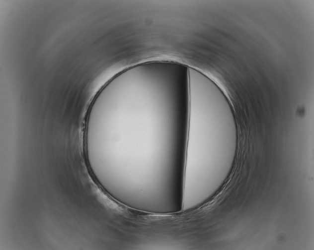 X0000090931151200707301109
