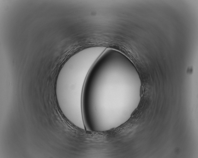 X0000090931153200707301109