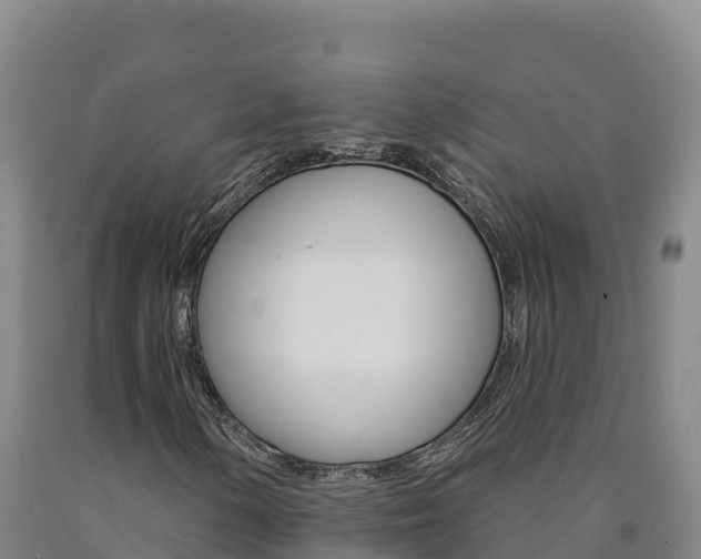 X0000090931154200707301109