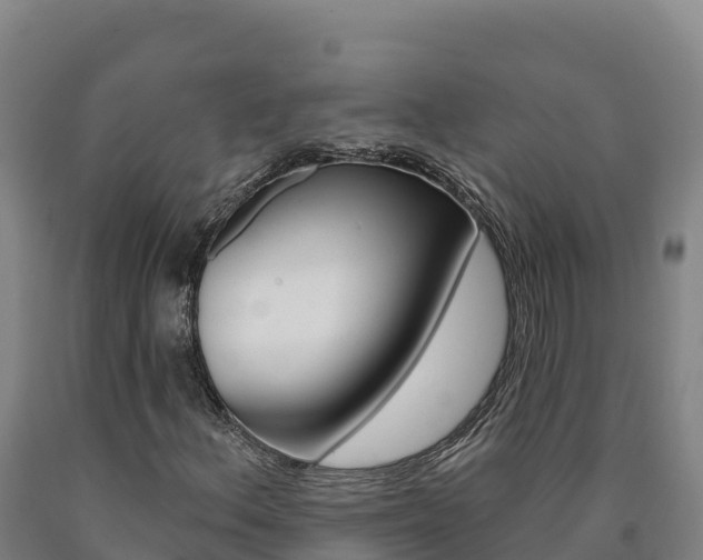 X0000090931156200707301109