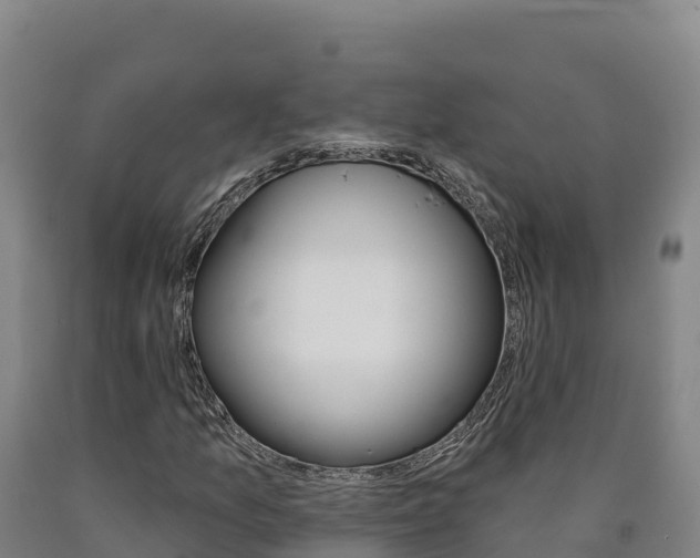 X0000090931157200707301109