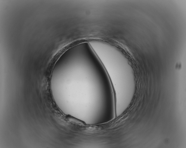 X0000090931160200707301109