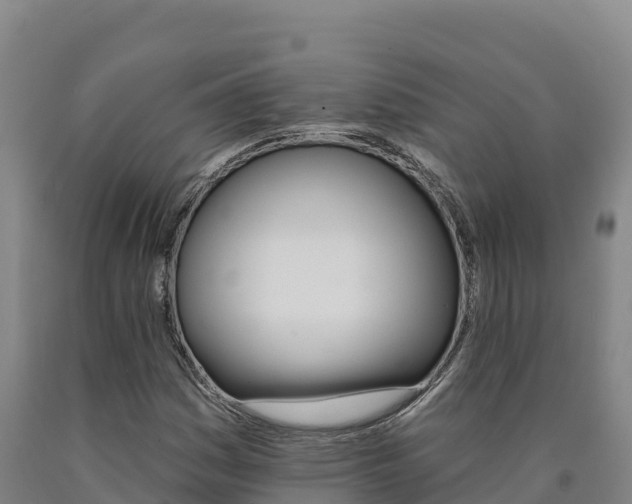 X0000090931161200707301109