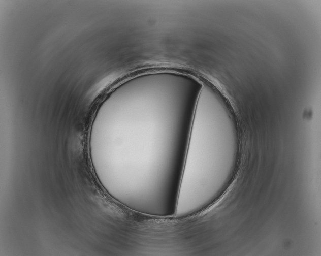 X0000090931163200707301109