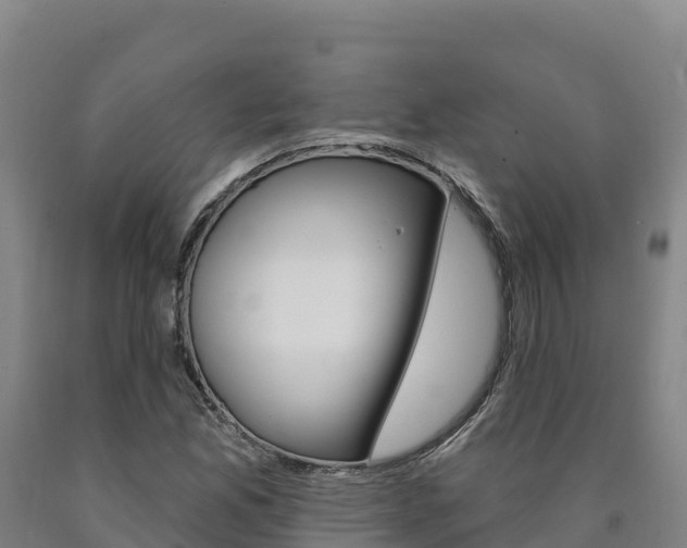 X0000090931165200707301109