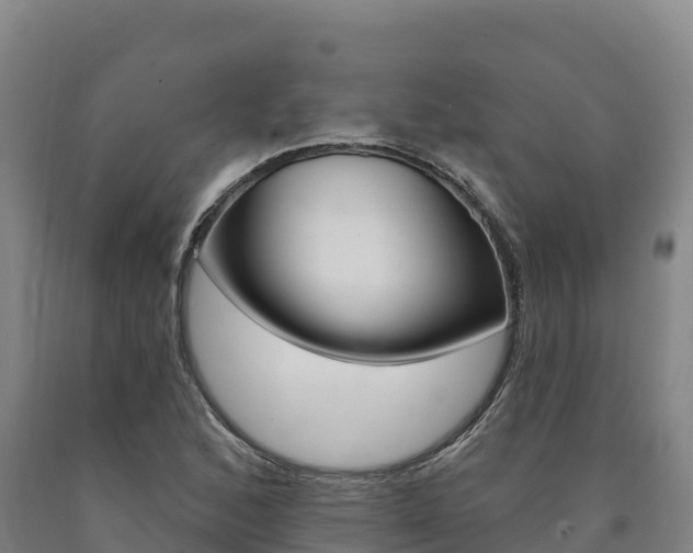X0000090931168200707301108