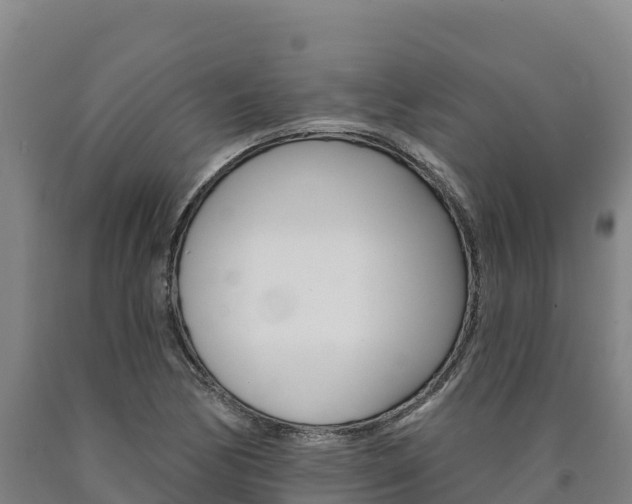 X0000090931170200707301108