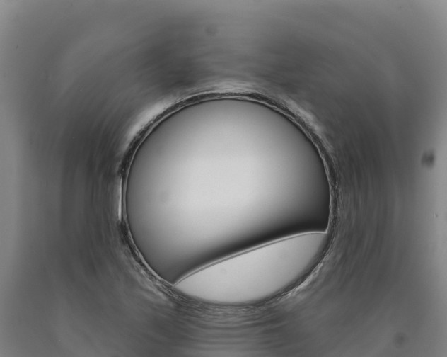 X0000090931171200707301108