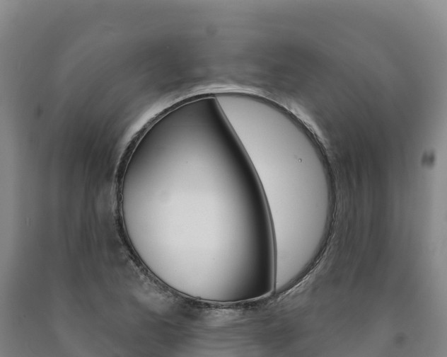 X0000090931173200707301108