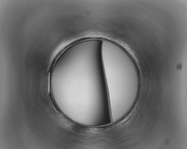 X0000090931175200707301108