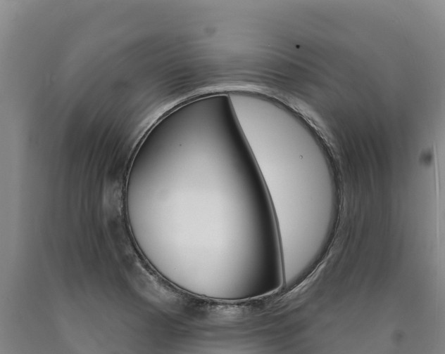 X0000090931177200707301108