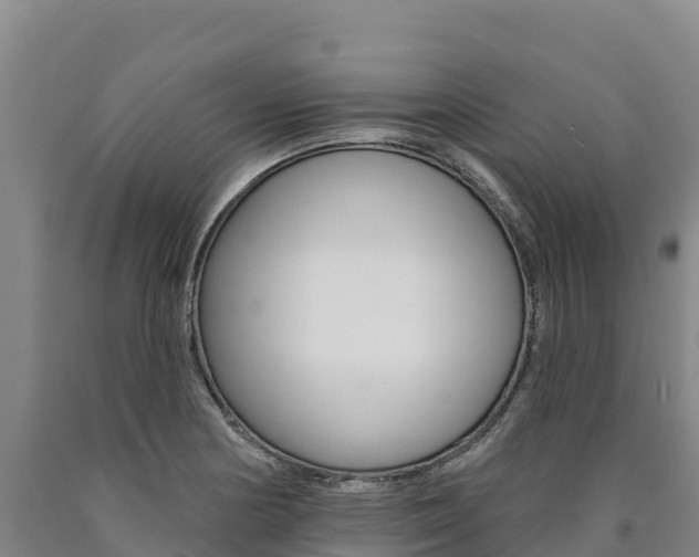 X0000090931178200707301108
