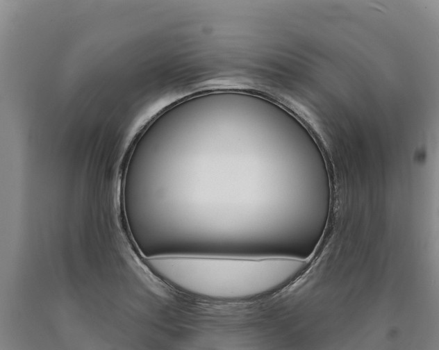 X0000090931179200707301108